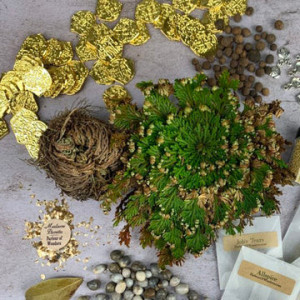 Money Miracle Rose of Jericho Spell Kit